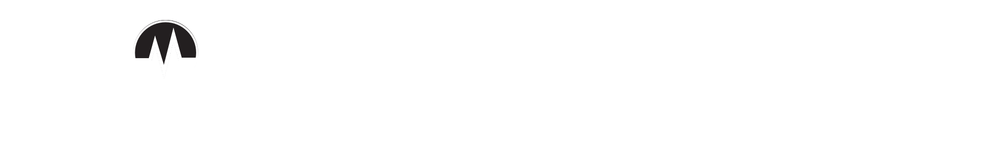 Momentum wordmark